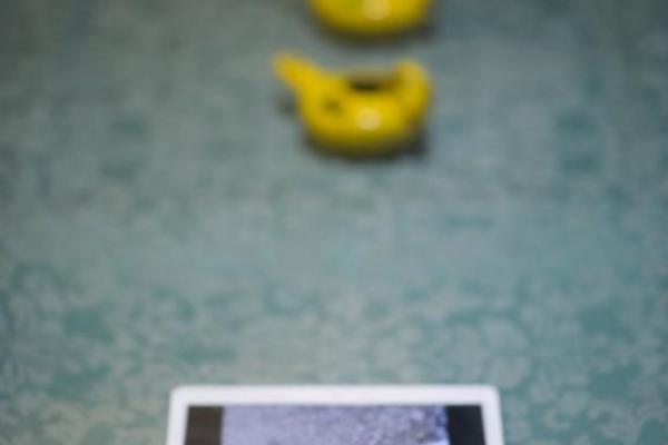 Photo 10